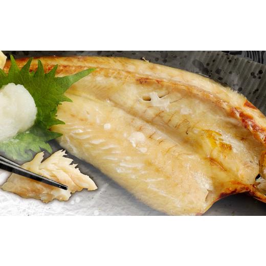 ふるさと納税 干物 カマス 高知県 室戸市 いずま海産定番干物セット_1