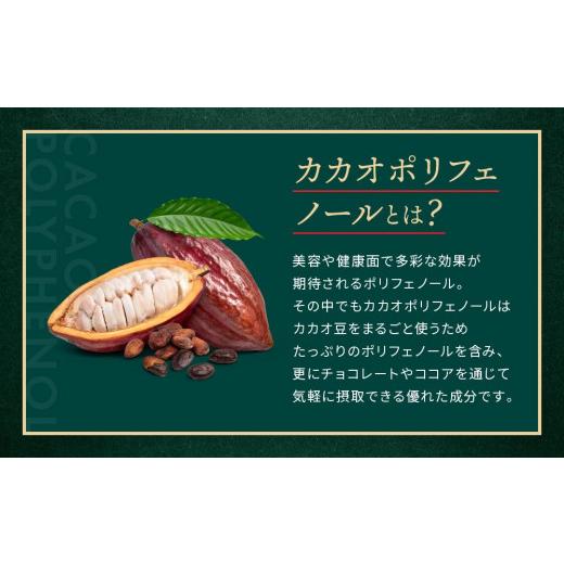 ふるさと納税 大阪府 大東市 明治チョコレート効果CACAOアイス　16個セット｜furusatochoice｜06