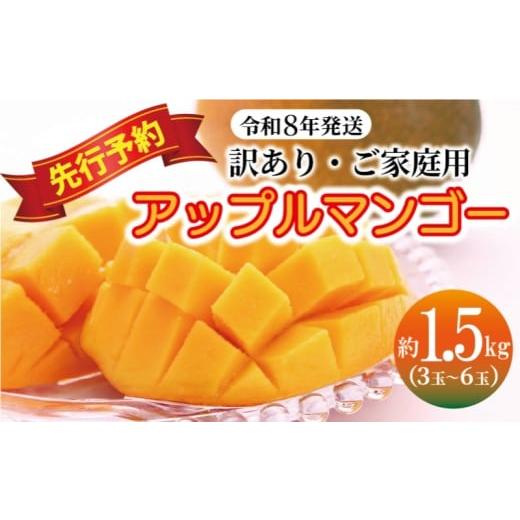 ふるさと納税 マンゴー 沖縄県 読谷村 訳あり・ご家庭用 アップルマンゴー(約1.5kg) 先行予約・2026年発送 〇 マンゴー アップルマンゴー アーウィン ワケ…