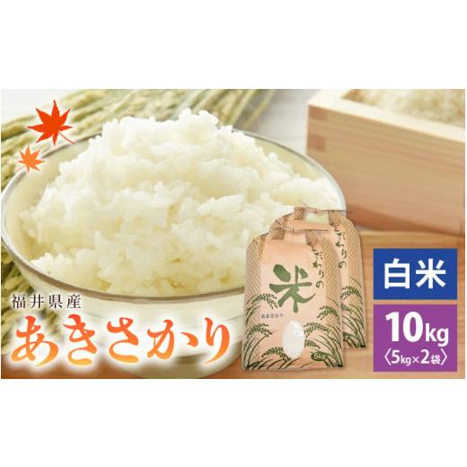 ふるさと納税 米 福井県 越前町 先行予約 新米 令和7年産 あきさかり 10kg 福井県産 コシヒカリ系統品種 白米 お米 アキサカリ 10キロ 2025年11月より順次発…
