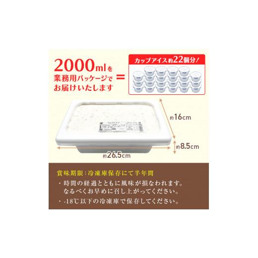 ふるさと納税 アイス・ヨーグルト ジェラート 富山県 氷見市  3ヶ月定期便 Himi Gelato 訳ありジェラート２Lチョコチップ チョコチップの画像