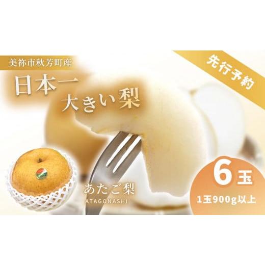 ふるさと納税 梨 山口県 美祢市 数量限定 あたご梨 × 6玉( 約5kg )| 梨 あたご なし フルーツ 果物 くだもの BIG ビッグ 大きい 特産品 美祢市 山口県 美…