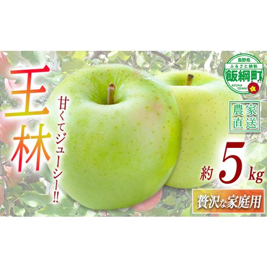 ふるさと納税 りんご 長野県 飯綱町 りんご 王林 贅沢な 家庭用 5kg ( 11玉 〜 20玉 ) 庚申山荘ファーム 沖縄県への配送不可 2026年11月上旬頃から2026年11月…