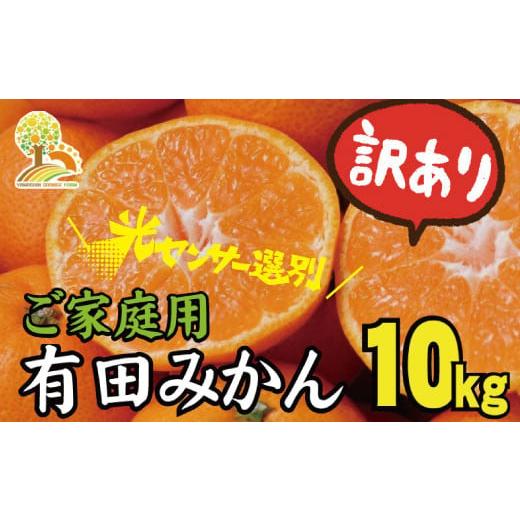 ふるさと納税 和歌山県 古座川町 ＼光センサー選別/訳あり 有田みかん 約10kg [ご家庭用] 和歌山県 温州みかん 先行予約[2024年11月中旬より発送予定(お…