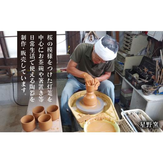 ふるさと納税 陶磁器・漆器・ガラス 佐賀県 武雄市  星野窯 グリーンの小鉢 青磁焼5個組 UCD006 焼き物 やきもの 器 小鉢の画像