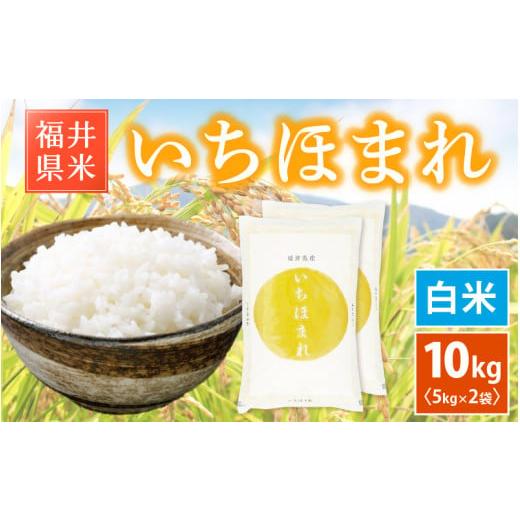 ふるさと納税 米 福井県 越前町 先行予約 新米 令和7年産「福井県ブランド米」 特A通算6回獲得 お米 いちほまれ 10kg 福井県産 白米 2025年11月より順次発送 …