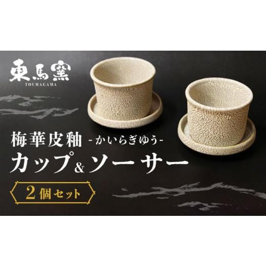 ふるさと納税 陶磁器・漆器・ガラス 佐賀県 武雄市  東馬窯 梅華皮釉カップ＆ソーサー2個セット UCI004 焼き物 やきもの 器の画像