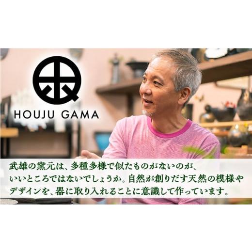 ふるさと納税 陶磁器・漆器・ガラス 佐賀県 武雄市  宝寿窯 黒陶たこ唐草紋三角鉢 UCN003 焼き物 やきもの 器 皿 鉢の画像