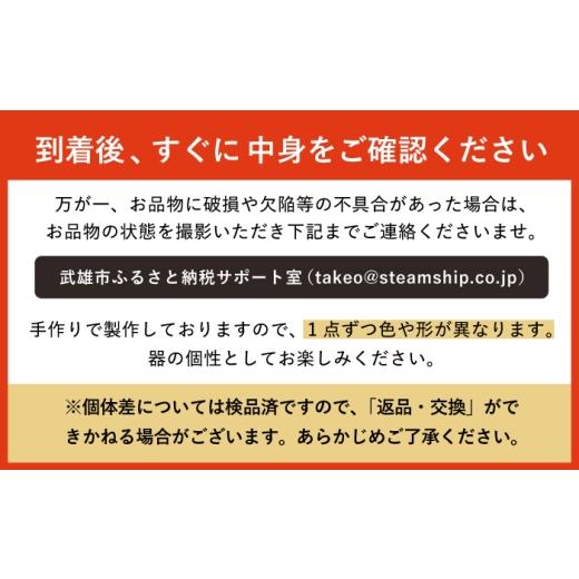 ふるさと納税 陶磁器・漆器・ガラス 佐賀県 武雄市  宝寿窯 木目 焼皿 2枚セット UCN014 焼き物 やきもの 器 皿の画像