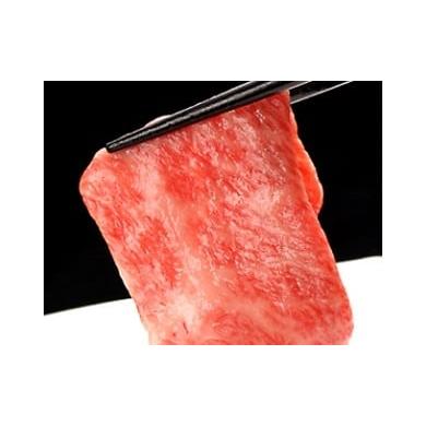ふるさと納税 牛肉 サーロイン 岐阜県 飛騨市 飛騨牛 5等級 サーロイン すき焼き用 厚切り 600g 牛肉 和牛 飛騨市推奨特産品 古里精肉店謹製 通常納期