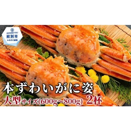 ふるさと納税 カニ ずわいガニ 北海道 紋別市 22-153 本ずわいがに姿 大型サイズ2杯 約600〜800g