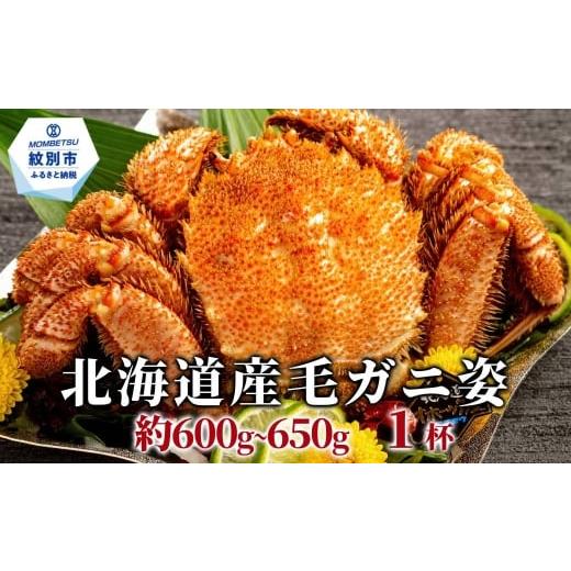 ふるさと納税 カニ 毛ガニ 北海道 紋別市 17-283 北海道産毛ガニ 約500〜650g×1杯