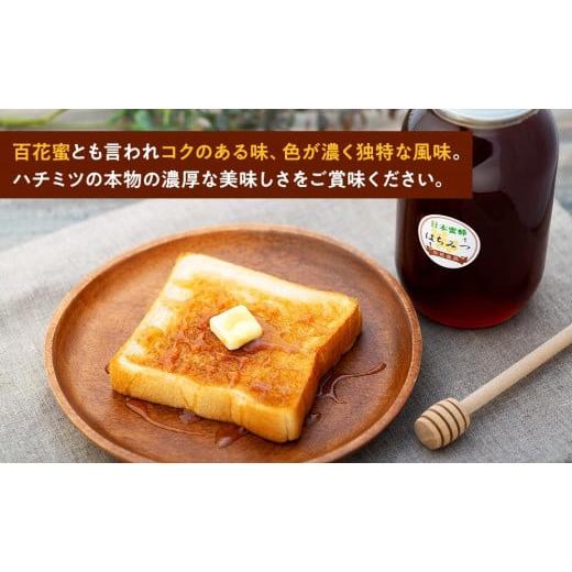 ふるさと納税 加工品等 はちみつ 栃木県 栃木市 日本蜜蜂のハチミツ100％ はちみつ1.2kg 高級 自然食品 無添加 ニホンミツバチの画像