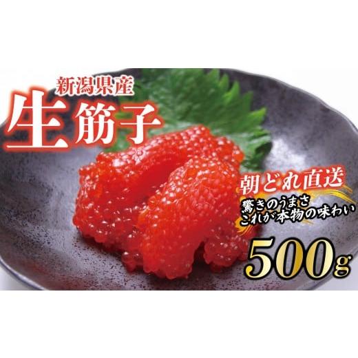 ふるさと納税 旬の鮮魚等 新潟県 新発田市 朝どれ直送 筋子 生筋子 500g 令和7年産 いくら 鮭 生いくら 海鮮 鮮魚 朝どれ 朝採れ とれたて 国産 新潟県産 お…