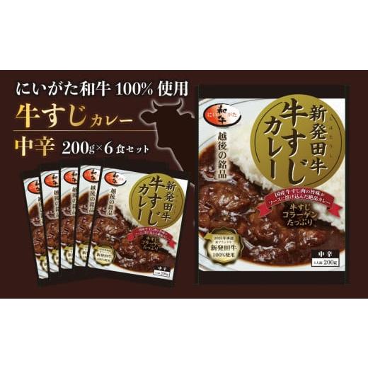 ふるさと納税 牛肉 カレー・シチュー 新潟県 新発田市 牛すじ カレー 6個 セット 200g×6 中辛 パック 牛肉 肉 和牛 保存食 備蓄 レトルト 新発田市 新潟 新発…