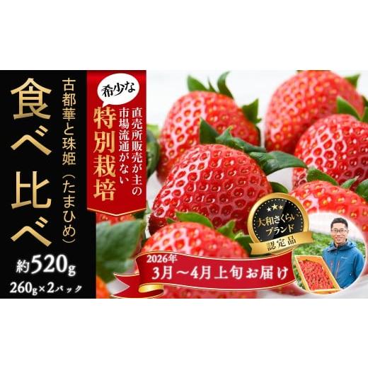 ふるさと納税 いちご 奈良県 桜井市 M-AH19. 3月〜4月上旬発送 減農薬いちご 「古都華&珠姫」2パック 食べ比べ 特別栽培農産物