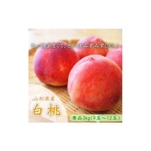 ふるさと納税 もも 山形県 中山町  令和8年産先行受付 中山町産白桃3kg 秀品 品種玉数おまかせ（軟らかくなる桃）あかつき、川中島白桃、伊達白桃他の画像