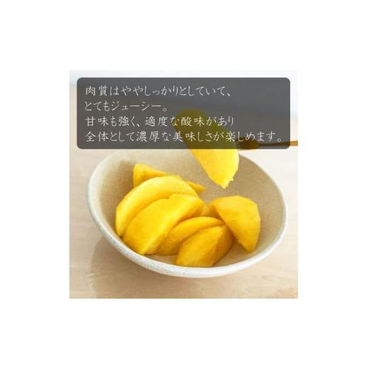 ふるさと納税 もも 山形県 中山町  令和8年産先行受付 中山町産黄金桃3kg 秀品  玉数おまかせ（軟らかくなる桃）の画像