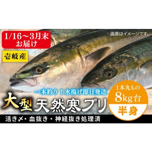 ふるさと納税 旬の鮮魚等 長崎県 壱岐市 1/16〜3月末お届け 天然 寒ブリ(一本丸ものサイズ8キロ台 半身ブロック)[壱岐市] 壱岐島 玄海屋 JBS098 62000 6…