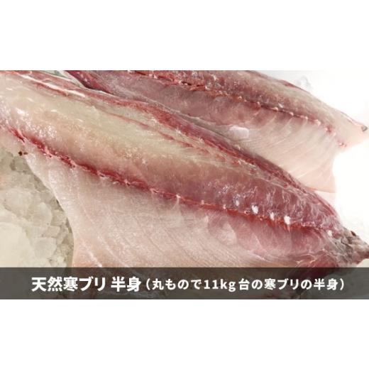ふるさと納税 旬の鮮魚等 長崎県 壱岐市  11／1〜1／15お届け 年末年始用 壱岐島産天然寒ブリ（一本丸ものサイズ11キロ台 半身ブロック）《壱岐市》 壱岐島 玄…_5