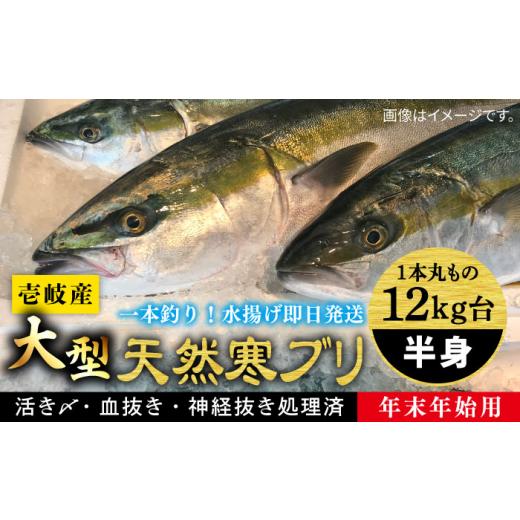 ふるさと納税 旬の鮮魚等 長崎県 壱岐市  11／1〜1／15お届け 年末年始用 壱岐島産天然寒ブリ（一本丸ものサイズ12キロ台 半身ブロック）《壱岐市》 壱岐島 玄…_1