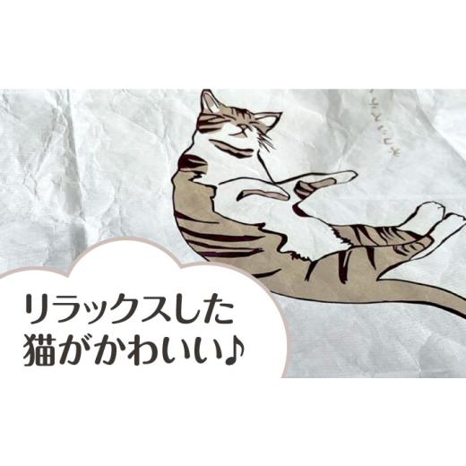 ふるさと納税 ファッション 大阪府 高槻市  猫グッズ ネコのかわいい手ぬぐい４点＋エコバック２点 猫 贈答 ギフト 取り寄せ 大阪 大阪府高槻市／ネコシステム…の画像