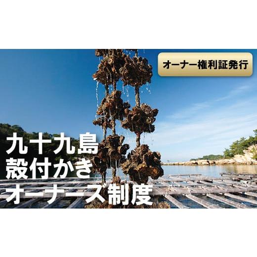 ふるさと納税 長崎県 佐世保市 A160p 九十九島殻付かきオーナーズ制度(2025年冬お届け)