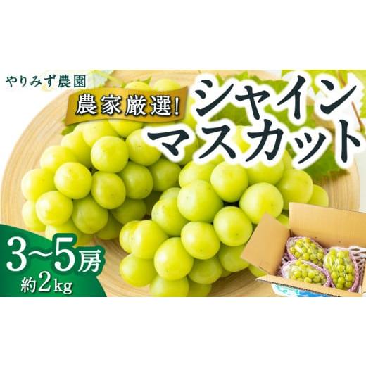 ふるさと納税 ぶどう マスカット 福岡県 うきは市 先行予約 やりみず農園 農家厳選 シャインマスカット 3房から5房 (約2kg) 2026年8月下旬〜9月上旬より順…