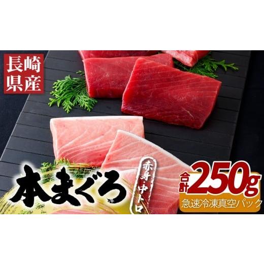ふるさと納税 マグロ 長崎県 佐世保市 A390b 長崎県産本まぐろ(養殖)赤身・中トロ(計250g)
