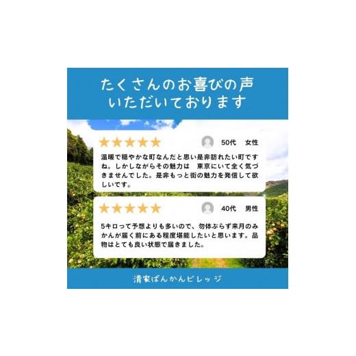 早い者勝ち！美品 希少 ビッグホーン ランクル アルミ バンパー