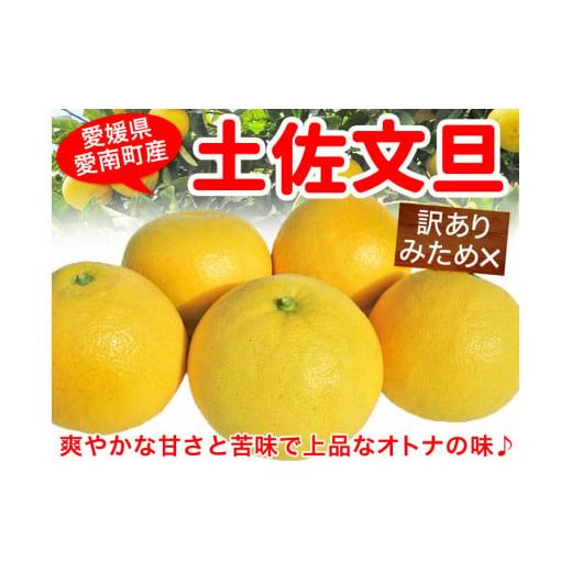 ふるさと納税 みかん・柑橘類 愛媛県 愛南町 先行予約 訳あり 土佐文旦 5kg 季節限定 限定品 みかん 蜜柑 柑橘 かんきつ 家庭用 訳あり わけあり 大きさ 土佐…