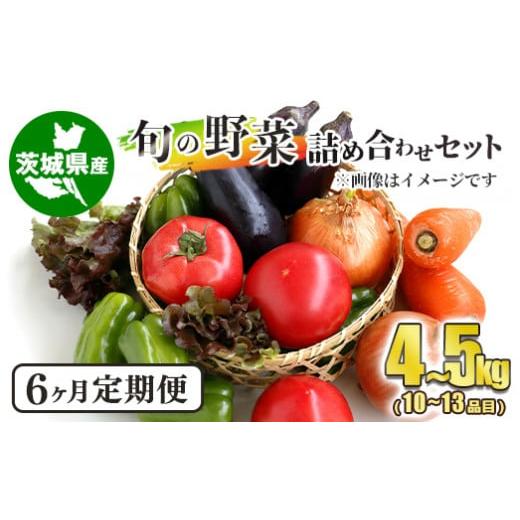 ふるさと納税 茨城県 守谷市 [定期便] 旬の野菜詰め合わせセット 隔月6ヶ月