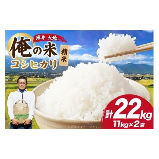 ふるさと納税 米 コシヒカリ 長野県 池田町 俺の米 米 令和7年 コシヒカリ 精米 11kg×2袋 計22kg 薄井 大地 長野県 池田町 48110783 お米 白米 ごはん こし…