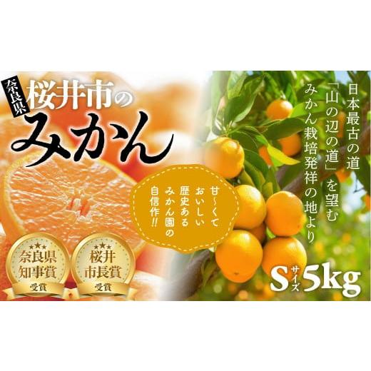 道の駅たちばなオリジナル＞みかん10kg詰合せ みかん みかん 10kg 蜜柑