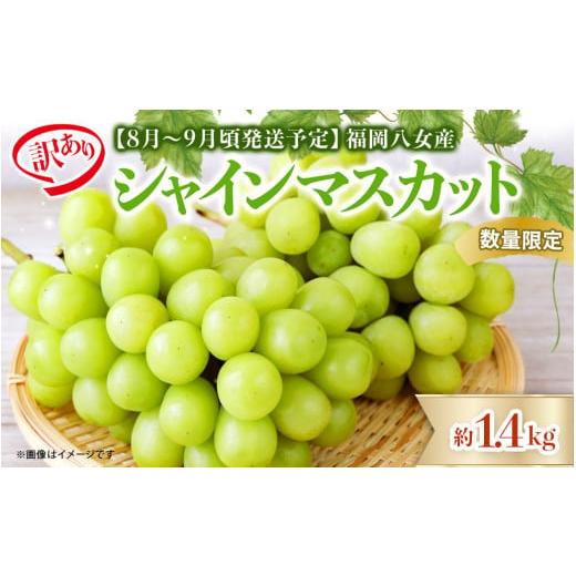 ふるさと納税 ぶどう マスカット 福岡県 八女市 先行受付 2026年発送 訳あり 数量限定 九州福岡フルーツ王国八女 シャインマスカット 約1.4kg 配送不可:北…