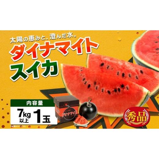 ふるさと納税 北海道 月形町 北海道 ダイナマイトスイカ 秀品 1玉 約7kg以上 スイカ すいか 西瓜 黒皮 黒スイカ 果物 フルーツ 旬 希少 貴重 甘い 国産 産地直…｜furusatochoice｜06