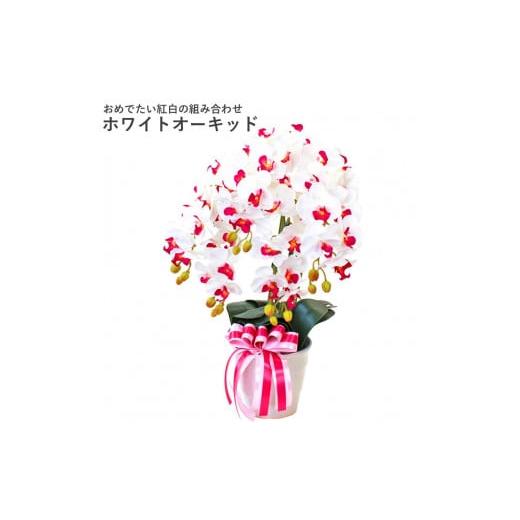ふるさと納税 雑貨・日用品 花 埼玉県 川越市 造花 シルクフラワーの胡蝶蘭の鉢植 5本立 CT触媒 ホワイトオーキッド / お花 コチョウラン 埼玉県 ホワイトオ…