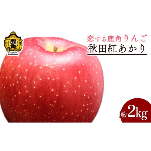 ふるさと納税 りんご 秋田県 鹿角市 [ 先行予約 ] 鹿角 りんご「秋田紅あかり」 約 2kg 恋する鹿角カンパニー ●2026年11月中旬発送開始 かづのりんご 食感 …