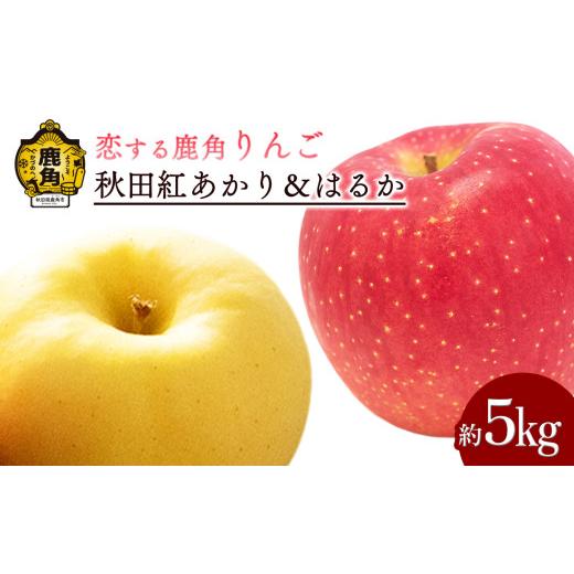 ふるさと納税 りんご 秋田県 鹿角市 [ 先行予約 ] 鹿角 りんご 「秋田紅あかり&はるか」約 5kg 詰め合わせ 恋する鹿角カンパニー ●2026年12月上旬発送開始…