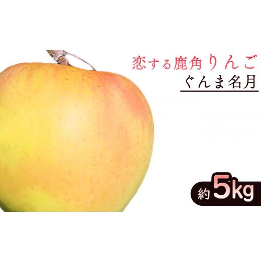 ふるさと納税 秋田県 鹿角市 [先行予約]令和6年産 秋田県鹿角産りんご「ぐんま名月」約5kg[恋する鹿角カンパニー]●2024年11月中旬発送開始 かづのりんご…