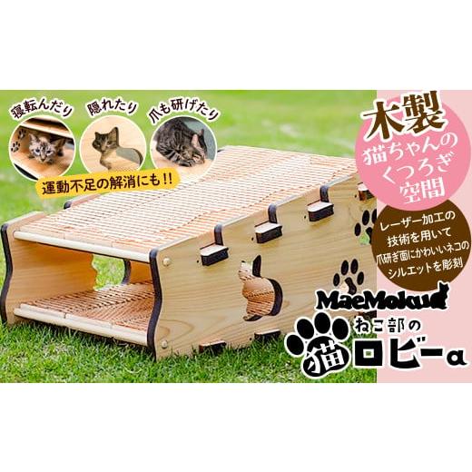 ふるさと納税 雑貨・日用品 奈良県 桜井市 JJB-1. 2月22日は“猫の日” maemokuねこ部の「猫ロビーa」の画像