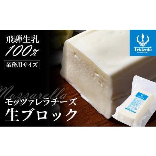 ふるさと納税 加工品等 チーズ 岐阜県 高山市 飛騨生乳100