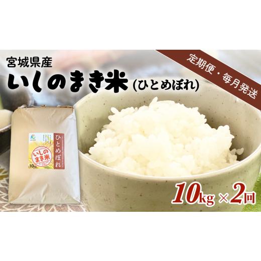 ふるさと納税 米 ひとめぼれ 宮城県 石巻市 米 定期便 定期便2回・毎月発送 宮城県いしのまき産米「ひとめぼれ」10kg×2回(精米) お米 米 定期便 白米 こめ …