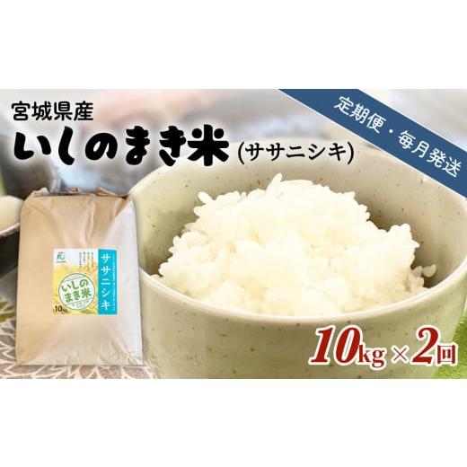 ふるさと納税 米 ササニシキ 宮城県 石巻市 米 定期便 定期便2回・毎月発送 宮城県いしのまき産米「ササニシキ」10kg×2回(精米) 石巻市 お米 米 定期便 白…