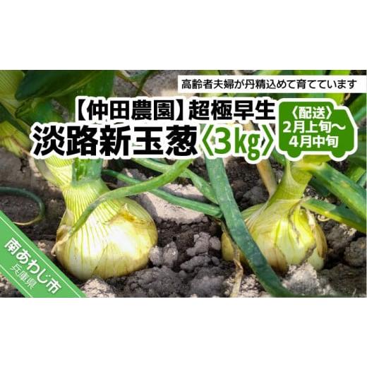 ふるさと納税 野菜類 玉ねぎ 兵庫県 南あわじ市 新玉予約 超極早生新玉葱「福寿玉ねぎ」3kg 配送2月上旬〜4月中旬