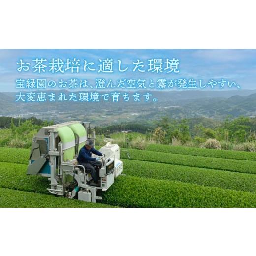 ふるさと納税 お茶類 緑茶（茶葉・ティーバッグ） 長崎県 佐々町  全3回定期便 さざの 有機栽培茶 ティーバッグ 詰め合わせ （緑茶・ほうじ茶 各60g×2袋／回…の画像