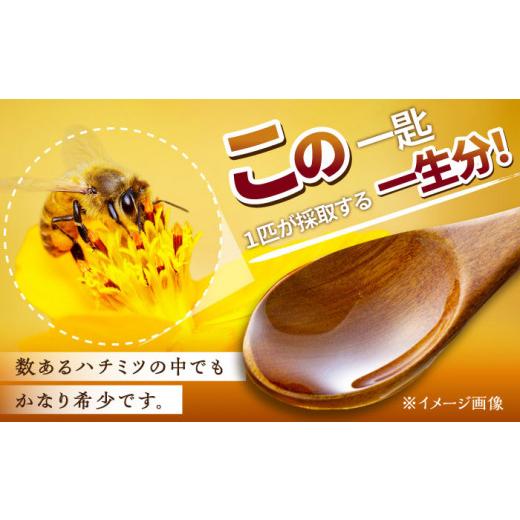 ふるさと納税 佐賀県 武雄市 【コクと味わい深い甘み】 日本蜜蜂 百花 はちみつ 200g 純粋蜂蜜 ／永尾 忠則 [UAS003] 蜂蜜 ハチミツ 日本ミツバチ｜furusatochoice｜04