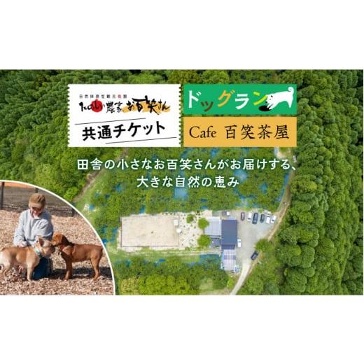 ふるさと納税 佐賀県 武雄市 [愛犬と楽しいひと時を!]Cafe 百笑茶屋&ドッグランで使える共通 チケット /お百笑さん [UAZ002] 食事券 体験 チケット