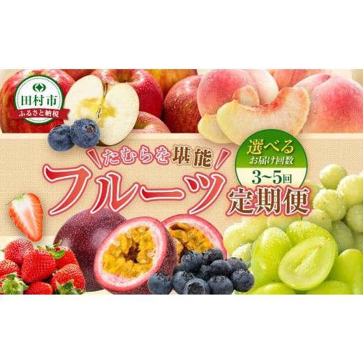 ふるさと納税 果物の詰合せ 福島県 田村市 ＼ 旬の時期お届け 全5回 2026年1月スタート / フルーツ定期便A いちご 苺 冷凍 ブルーベリー ぶどう シャインマス…
