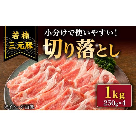 ふるさと納税 豚肉 炒め物 佐賀県 武雄市 国産 豚肉 切り落とし若楠三元豚 切り落とし1kg (約250g×4P) /小間切れ こま切れ 小分け 豚切り落とし 豚肉切り落…
